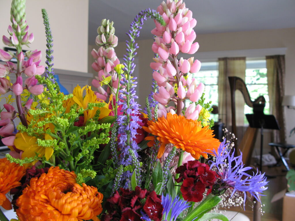 Monica Schley wedding harpist Seattle Tacoma harp therapy healthcare music teacher jazz music