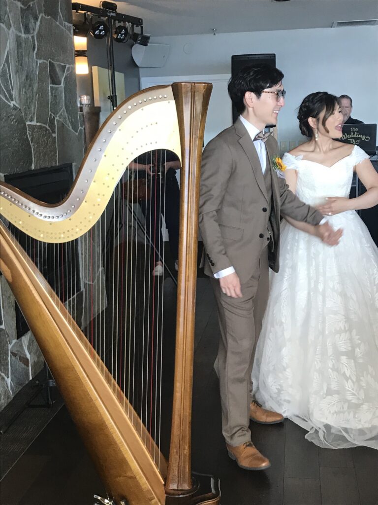 Seattle Harpist