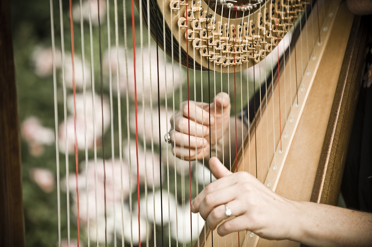 harp escape