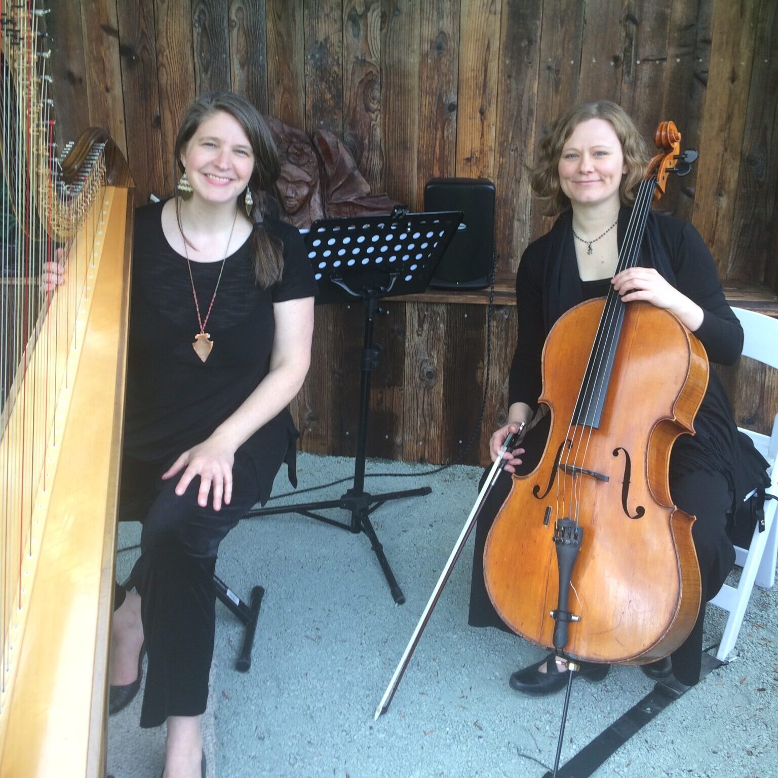 One Summer’s Day As a Harpist