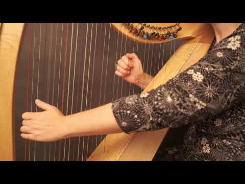 My First Wedding Gig on the Harp